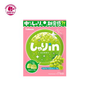 _ubNtCf[IԌ̂ȃN[|zz^inO~}XJbg\[_ 52g×10 JoHi