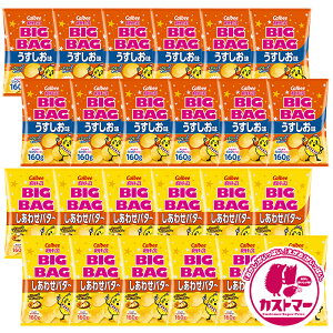 Jr[ |eg`bvX Ɩp lߍ킹 rbOobO  160g × 12 킹o^[ 160g × 12 v24 َq A\[g  e ܂Ƃߔ |e` Zbg XibNَq X