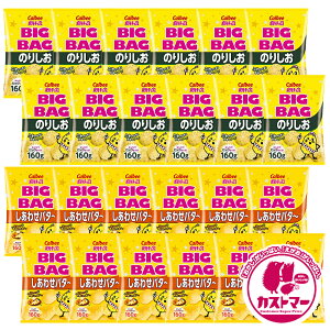 Jr[ |eg`bvX Ɩp lߍ킹 rbOobO ̂肵 160g × 12 킹o^[ 160g × 12 v24 َq A\[g  e ܂Ƃߔ |e` Zbg XibNَq X