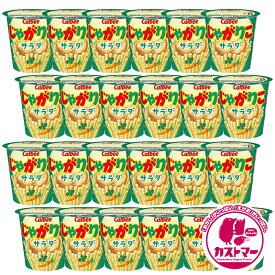 【期間限定★特別価格】カルビー じゃがりこ サラダ 57g × 24個 箱 買い まとめ買い 業務用 大量 大容量 お菓子 セット スナック菓子 スナック ポテトスナック おやつ おかし 菓子 駄菓子 景品 イベント 子供 大人 calbee