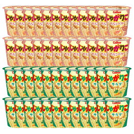 カルビー じゃがりこ たらこバター 52g × 24個 サラダ 57g × 24個 計48個 箱 買い まとめ買い 詰め合わせ 業務用 お菓子 アソート 大量 大容量 お菓子 セット スナック菓子 スナック ポテトスナック おやつ おかし 菓子 駄菓子 景品 イベント 子供 大人 calbee