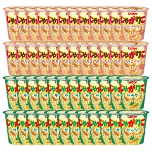 Jr[ Ⴊ肱 炱o^[ 52g × 24 T_ 57g × 24 v48   ܂Ƃߔ lߍ킹 Ɩp َq A\[g  e َq Zbg XibNَq XibN |egXib