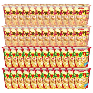 Jr[ Ⴊ肱 炱o^[ 52g × 24 `[Y 55g × 24 v48   ܂Ƃߔ lߍ킹 Ɩp َq A\[g  e َq Zbg XibNَq XibN |egXib