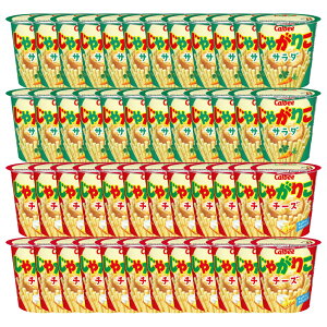yH̖oSALEzJr[ Ⴊ肱 T_ 57g × 24 `[Y 55g × 24 v48   ܂Ƃߔ lߍ킹 Ɩp َq A\[g  e َq Zbg XibNَq XibN |