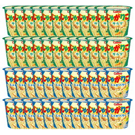 カルビー じゃがりこ サラダ 57g × 24個 じゃがバター 55g × 24個 計48個 箱 買い まとめ買い 詰め合わせ 業務用 お菓子 アソート 大量 大容量 お菓子 セット スナック菓子 スナック ポテトスナック おやつ おかし 菓子 駄菓子 景品 イベント 子供 大人 calbee