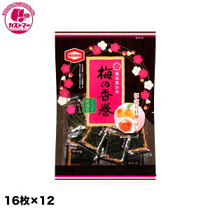 y~̍@16×12z@Tcف@@َq@@ʉَq@ǂ@Cxg@ii