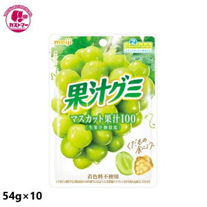 ʏ`O~}XJbg 54g × 10 