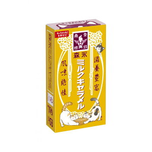 Xi ~NL 12 × 20 Ɩp L َq  e ܂Ƃߔ   َq ʉَq ii Cxg q l