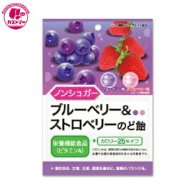 楽天市場 のど飴 子どもの通販