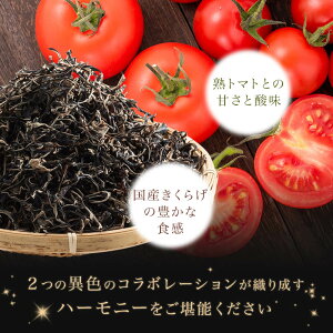 新商品★国産きくらげ入りトマトパスタソース『黒い騎士』パスタ/パスタソース/トマト/きくらげ/キクラゲ/スライス/スライスキクラゲ/国産/国産きくらげ/国産キクラゲ/新商品/おもしろい/高級