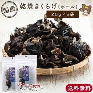 yY 炰 z[ 25g×2 z NHK ŕꂽ  炰  LNQ 炰 ؎ LNQ Y炰 炰 ̂ ̂ _ Y ؐH  H
