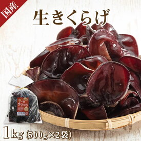 ★最大1,000円OFFクーポン 24日20時～30日10時迄★【NHKで使用！】 生きくらげ 1kg 500g× 2袋 セット 黒 きくらげ 国産 キクラゲ 木耳 食材 セット 中華食材 あらげきくらげ アラゲキクラゲ 生キクラゲ 生木耳 国産きくらげ きのこ 美味しい物