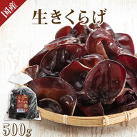 【 国産 生きくらげ 500g × 1袋 】NHK で放送された 生キクラゲ 黒 きくらげ 国産 黒きくらげ 黒キクラ…