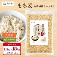 【春日屋公式】 残留農薬ゼロ 九州産もち麦 1.5kg【1袋/2袋/3袋/5袋/10袋】くすもち二条 黄金もち麦