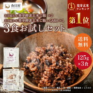 【春日屋公式】【お試し1,000円ポッキリ】＜ポスト投函＞玄米を3日寝かせた発芽酵素 玄米ごはん 2食と +G…