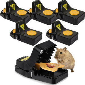 lY~߂ 6Zbg ėp\ ȒP l ˂ݕߊl JԂ Qb ƒ ؉ 䏊