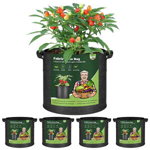 sDzv^[ z t 5K 19L 30cmx25 cm 5Zbg sDz|bg tFg ͔|  A A琬 ԍ͔| ؍͔| | 搧 ubN