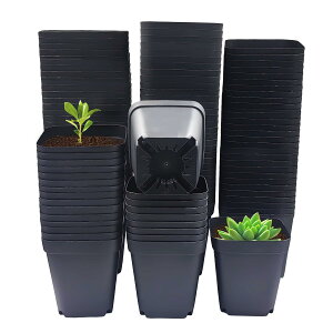 7cm v c|bg 120 vX`bN 펪|bg ꌊ Aؔ cp||bg A  ubN