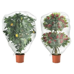 AیJo[ hlbg hlbg bVВ |plbg  AQn`E h ΍ ʋC |pi 2Zbg 100X150cmi2Zbgj