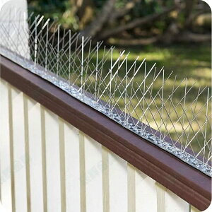 悯 悯 XeX JX悯 25cmx10 jW JX΍ JX tQh~ x_   gp 悯ObY IɌ oht ݒuȒP 戵