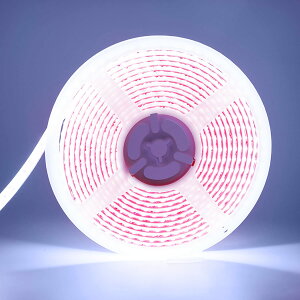 Lede[vCg Xgbv Cg 5m 600A 12V 邳 ԐڏƖ C~l[VCg 2835SMD Jbg\ tȒP DIY ʃe[v USBd hIP67Px F6000K