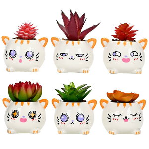 Aj}X^C̐Aؔ  kLX^C 6Zbg Aؔ 픫 A|bg ~͔ A ~jZ~bNT{ev^[|bg ~jAp^v^[|bg ꌊt