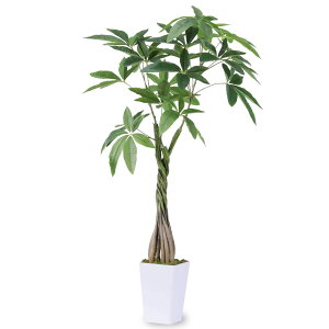 tFCNO[ lHϗtA ϗt  G} C 98cm  ItBX A A  rO ItBX  Vv R L ϗt