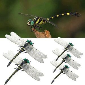 オニヤンマ おにやんま モデル 天敵で虫除けトンボ 蜻蛉 虫除け モデル 虫対策 12cm 本物 等身大 取付簡単 昆虫 虫 蜻蛉 動物 模型 登山 トンボ キャンプ 釣り 衣服 玄関 室内 家庭菜園 装飾な