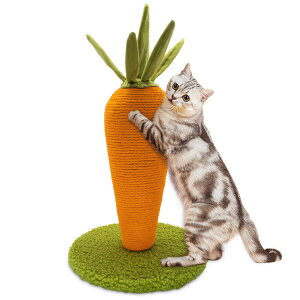 L܂Ƃ|[ L߂Ƃ XNb`|[ lQ^ CeA     cu^ ^sXgX VRTCU gݗĊȒP