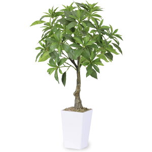 AZr n 75cm lHϗtA tFCNO[ ϗtA  G} L R CeA  ItBX  