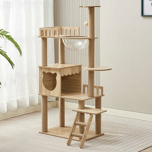 Lbg^[ - XfUC ^Lp VL얞LAqLLbgnEX FD^{E  Ή gݗĊȒP 萫 iK̃Xebv ȃXy[X VRR̒܂Ƃ