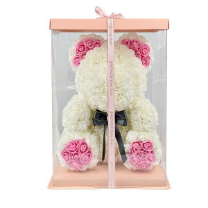 [YxA [YF o   ͂Ȃ ʂ  o^C a ̓ sNt (zCg-sN)