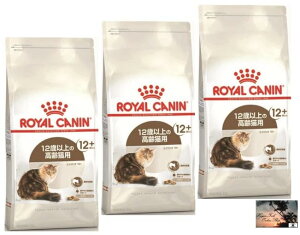 y3܃ZbgzFHN GCWO 12+ Lp 400g 12Έȏ̍Lp C ROYAL Lbgt[h CANIN Ji