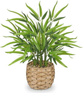 tFCNO[ CeAO[ |  [ lHϗtA ou[  ~   ȒP? sv Q쏜sv  Mtg