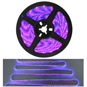 5m h ubNCg 300LED Px LEDe[vCg [z 390nm`400nm 12V ԐڏƖ ؒf\ ͋C ~fޏƖ Xe[WƖ