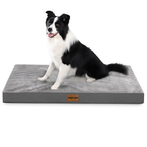 ybgNbV oʃfUC ē~p h pxbh Lxbh ybgxbh}bg łjȂpxbh  xbh I[V[Y pNbV 􂦂 ^ 