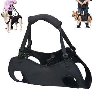 ptgn[lX s⏕ V  pi n[lX  ^ ^p̌nht EȒP   n[lX ybgT|[g&nre[V XOtg ߉\