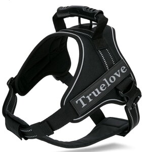 2WAYAɗDn[lX Sypn[lX TRUE LOVE{X p hbO ybgpi n[lX[h 3Mˍޗ P iCf ^A^A^Ɍ ʋC ߉