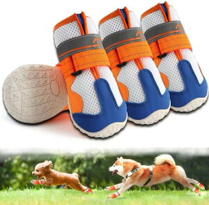 C pu[c hbOV[Y tėp yʒʋC bV RۖhL z 2dXgbv ₷ Eɂ ی ~ ϋvS U J̓ h  rߖh~ 