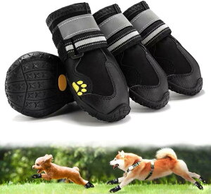 C pu[c hbOV[Y tėp yʒʋC bV RۖhL z 2dXgbv ₷ Eɂ ی ~ ϋvS U J̓ h  rߖh~ 