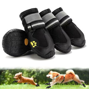 C pu[c hbOV[Y tėp yʒʋC bV RۖhL z 2dXgbv ₷ Eɂ ی ~ ϋvS U J̓ h  rߖh~ 