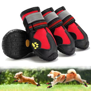 C pu[c hbOV[Y tėp yʒʋC bV RۖhL z 2dXgbv ₷ Eɂ ی ~ ϋvS U J̓ h  rߖh~ 