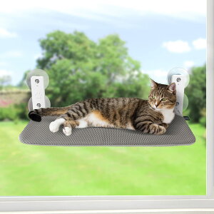 Lxbh ˂xbh LnbN ܏ݎLnbN z LpnbN Lxbh nbN Lxbh zՎ ybgxbh ˂ lR LbgnbN Lbg}b