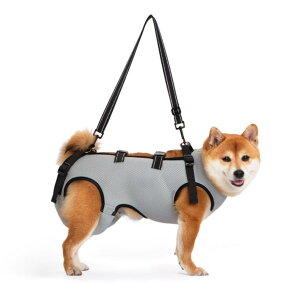 -pn[lX  ʋC  pn[lX s⏕ V  pi EȒP V//p//aC ^ ^   r Q nr U  ̑Oƌ둫̕⏕