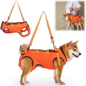 -pn[lX  ʋC  pn[lX s⏕ V  pi EȒP V//p//aC ^ ^   r Q nr U  ̑Oƌ둫̕⏕