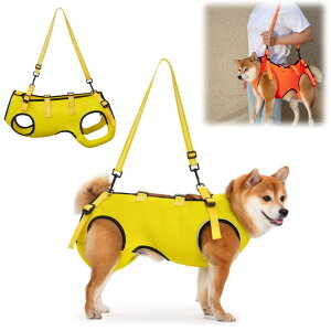 -pn[lX  ʋC  pn[lX s⏕ V  pi EȒP V//p//aC ^ ^   r Q nr U  ̑Oƌ둫̕⏕