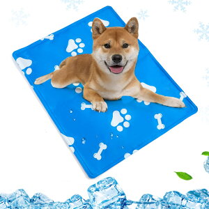 yybgŌmďCzybg Ђ}bg  L ėp N[}bg p}bg dӂǂ\ ɂf WF}bg ⊴UQ ΍ MǑ΍ 􂦂 Q (XLi50x90cmj)