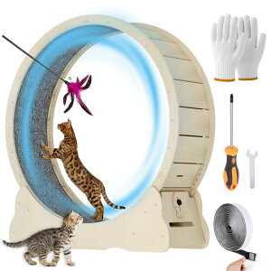 LbgzC[ ^L 񂵎 100cm - Lp̓VRCނ̔L[i[AbNƍŏ̌Ԑ݌vSL jO}V