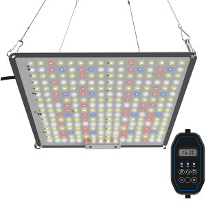 A琬Cg-LED 48W UV/IR ʎqv ͔| A k͔|v ƒ؉ | ͔| ؍H ϗtA MAbv ȓd Px (1- 48WgF)