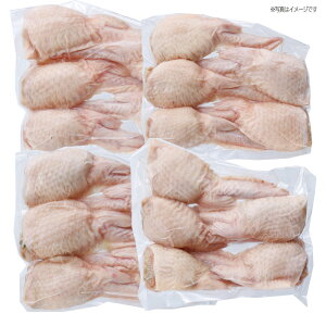 ts ̂Ƃ₳ HLq20{Zbg Y{ W[V[Lq `Ղ ґO ⓀLq y ȒP Z lC񂹃O Ƒp p[eB[ 